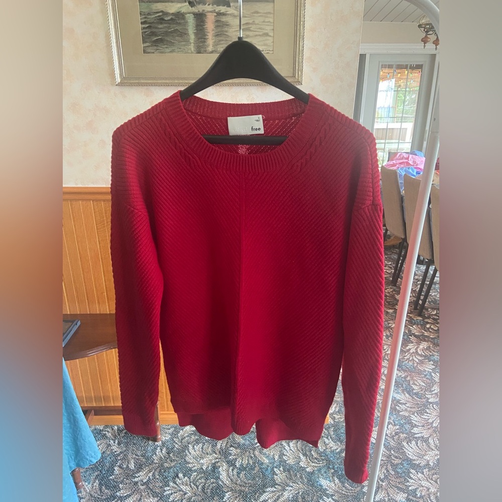 Wilfred Free Isabelli 100% Merino Sweater S